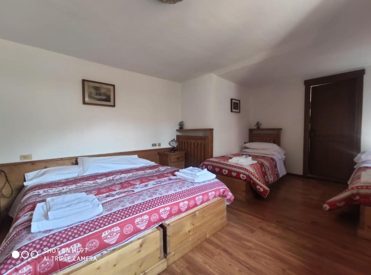 La Favorita Bed & Breakfast Lozzo Cadore Екстериор снимка